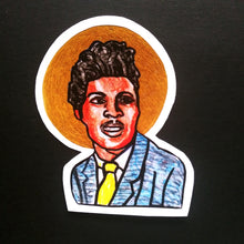 PUNdemic Musical Icon - Stickers
